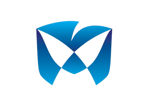 Aipom India